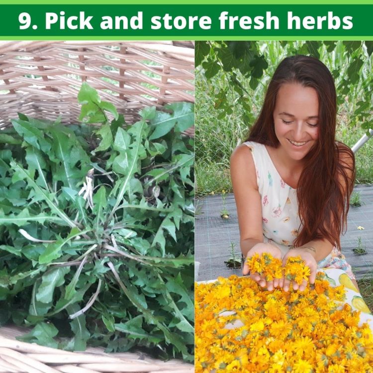 How to help mother nature. 10 Way for greener lifestyle. Eco tips for everyday.