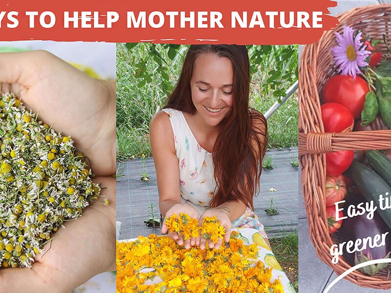 NATURE CALLS: 10 WAYS TO HELP MOTHER&nbsp;NATURE