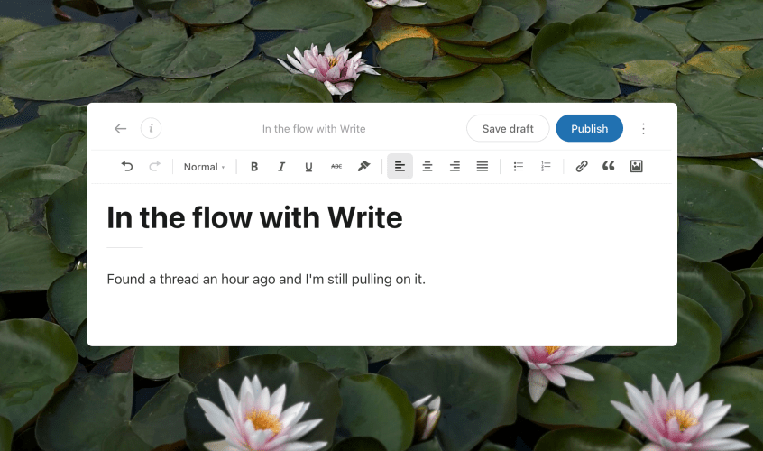 Introducing Write: A New Way to Post, Built for&nbsp;Writers